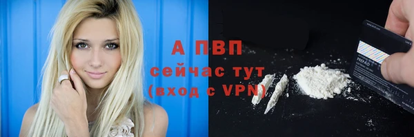 ГАЛЛЮЦИНОГЕННЫЕ ГРИБЫ Волосово